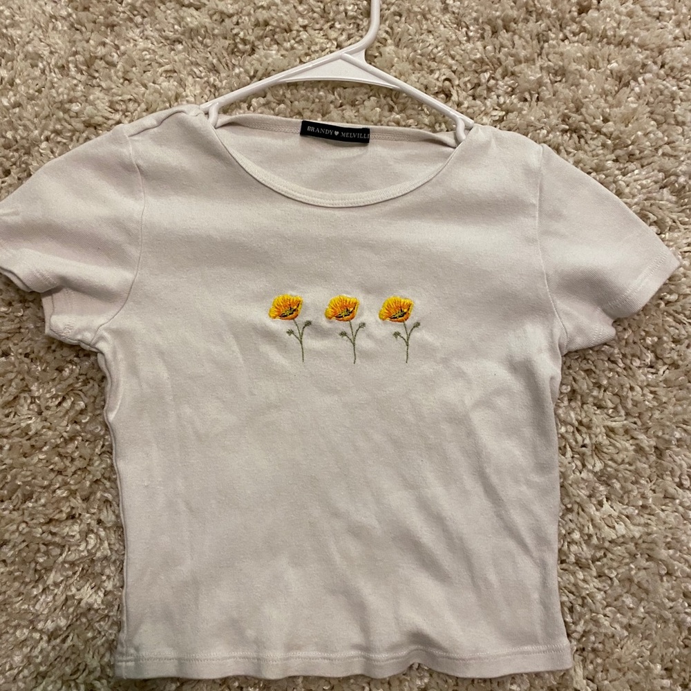 Brandy Melville poppy crop top